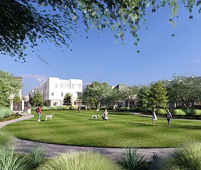 Open green space